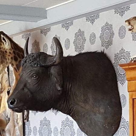 Chalet Sur Lesse Hotell Maissin Eksteriør bilde
