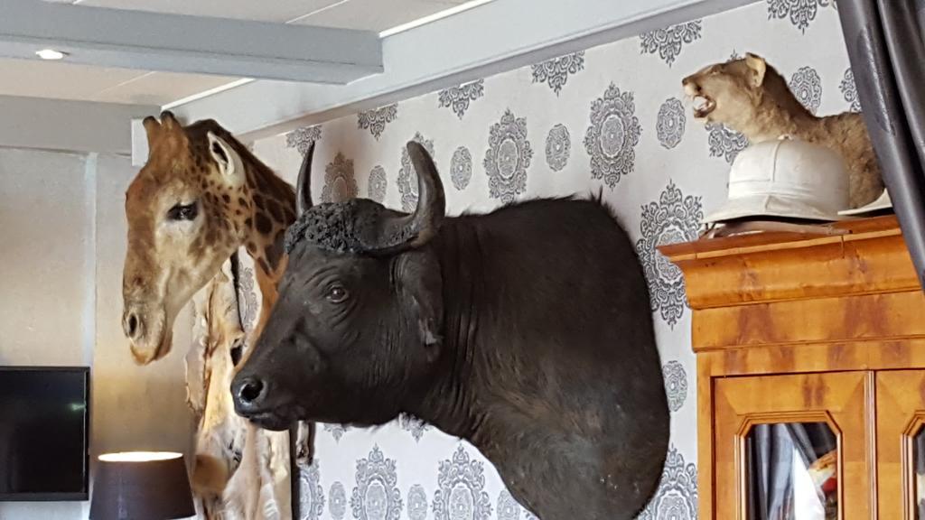 Chalet Sur Lesse Hotell Maissin Eksteriør bilde